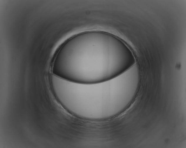 X0000094791510200711160904