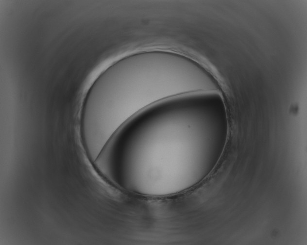 X0000094791512200711160904