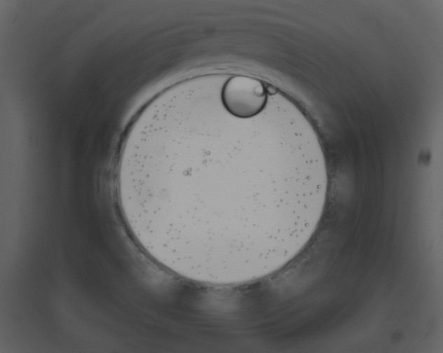 X0000094791514200711160904