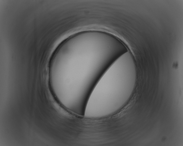 X0000094791515200711160904