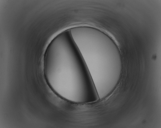 X0000094791516200711160904