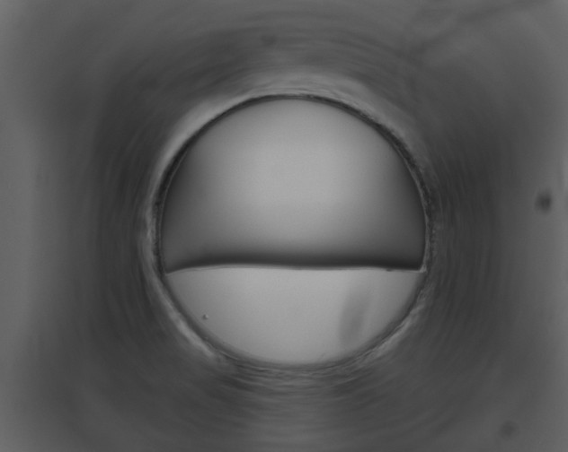 X0000094791517200711160904