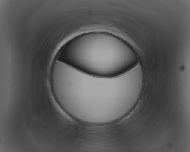 X0000094791518200711160904