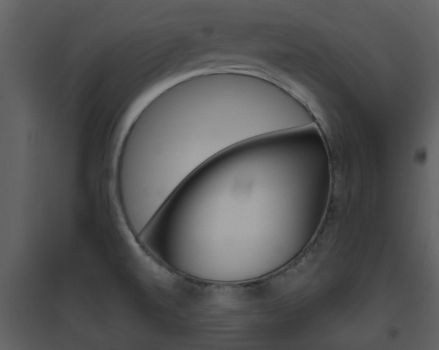 X0000094791520200711160904