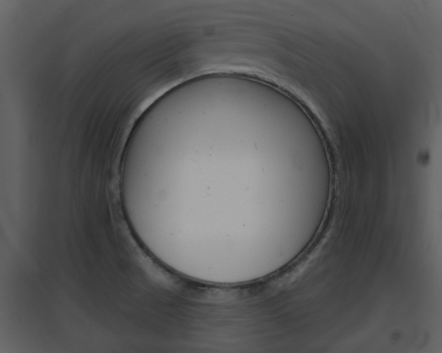 X0000094791521200711160904