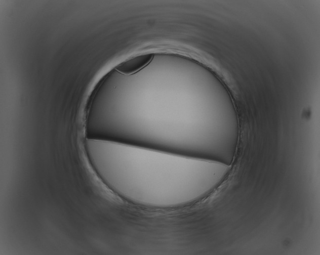 X0000094791522200711160904