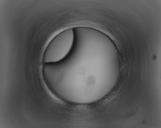 X0000094791523200711160904