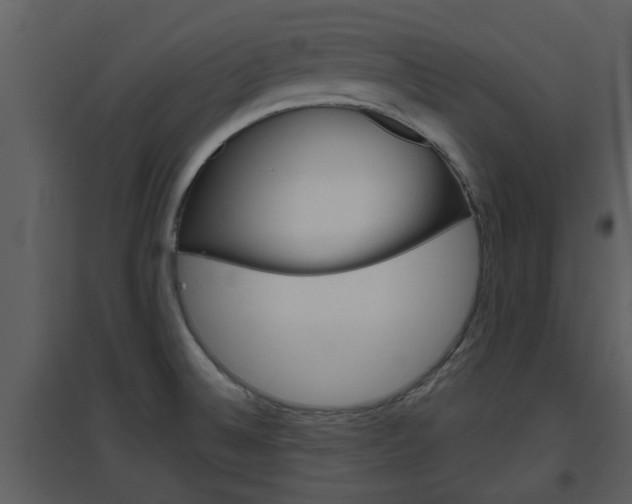 X0000094791524200711160904