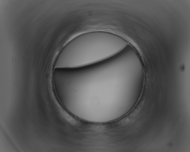 X0000094791525200711160904