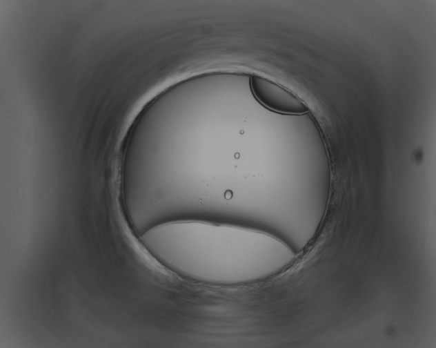 X0000094791526200711160904