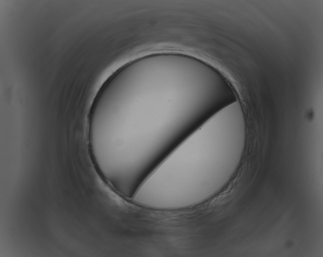 X0000094791527200711160904