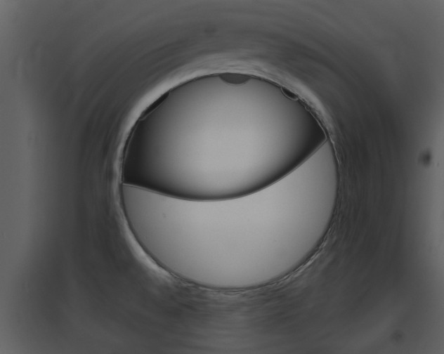 X0000094791528200711160904