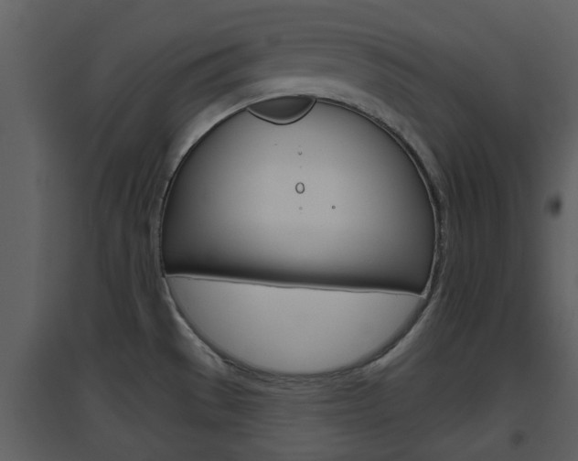 X0000094791529200711160904