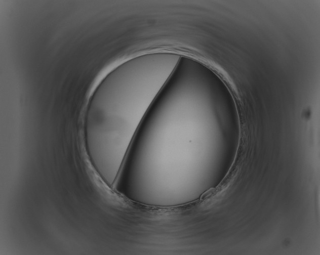 X0000094791530200711160904
