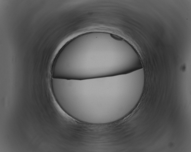 X0000094791531200711160904