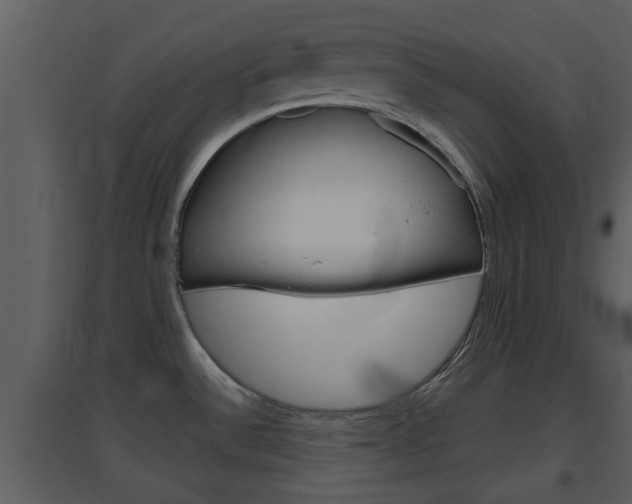 X0000094791532200711160904