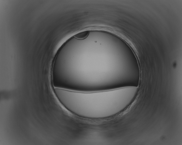 X0000094791533200711160904