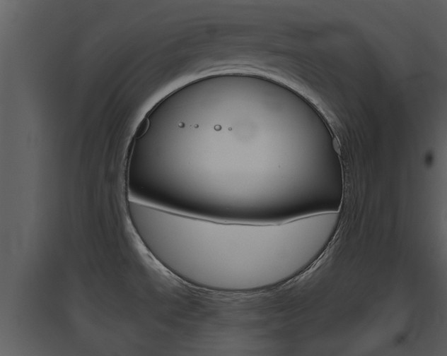 X0000094791534200711160904