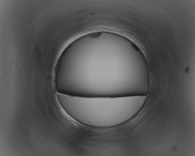 X0000094791535200711160904