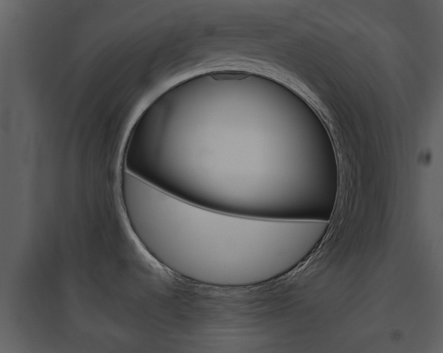 X0000094791536200711160904