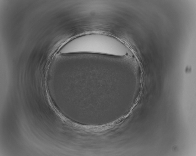 X0000094790001200711161445