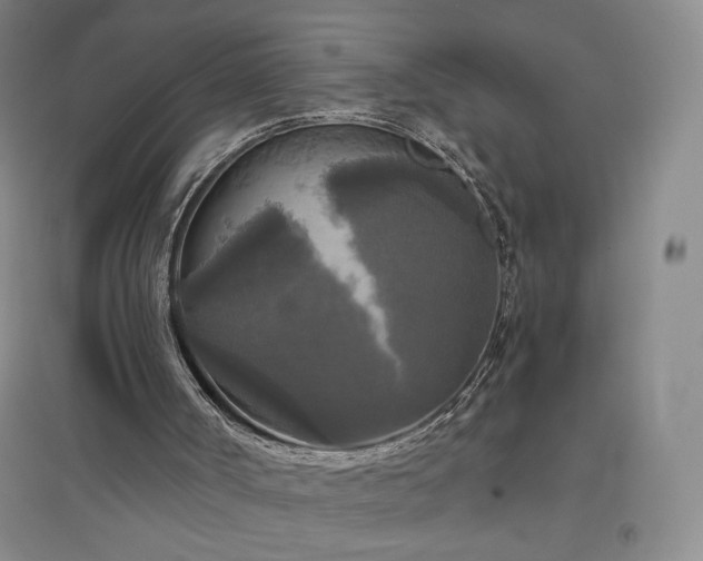 X0000094790002200711161445