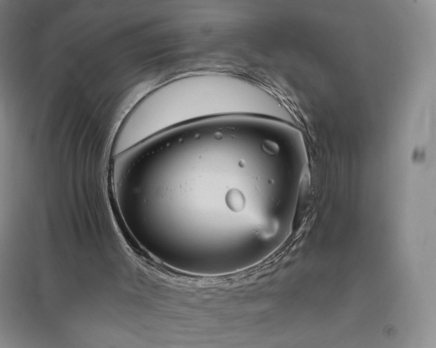 X0000094790003200711161445