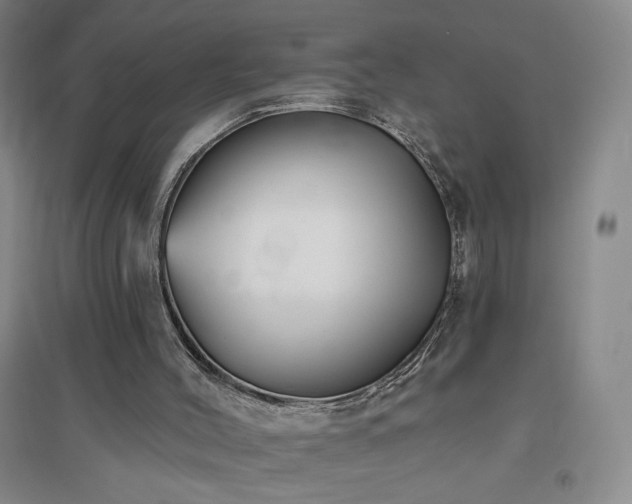 X0000094790004200711161445