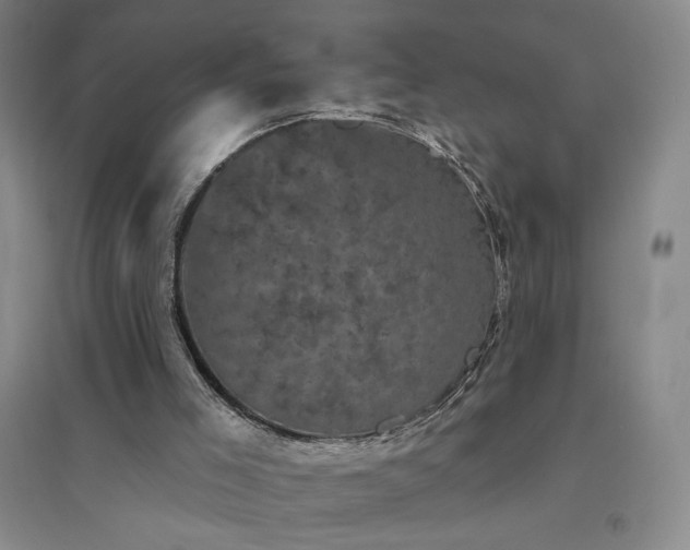 X0000094790005200711161445