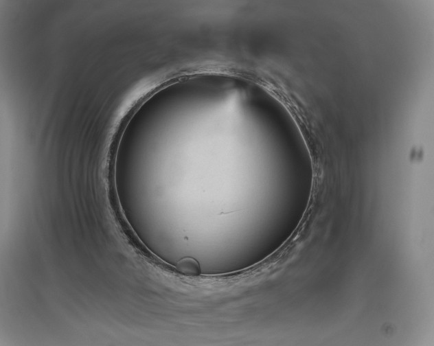 X0000094790006200711161445