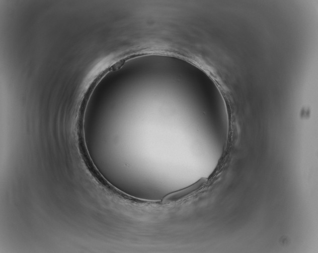 X0000094790007200711161445