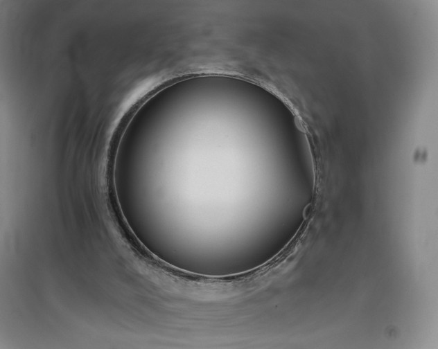 X0000094790008200711161445