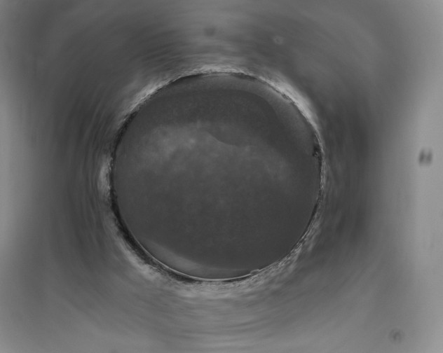 X0000094790009200711161445