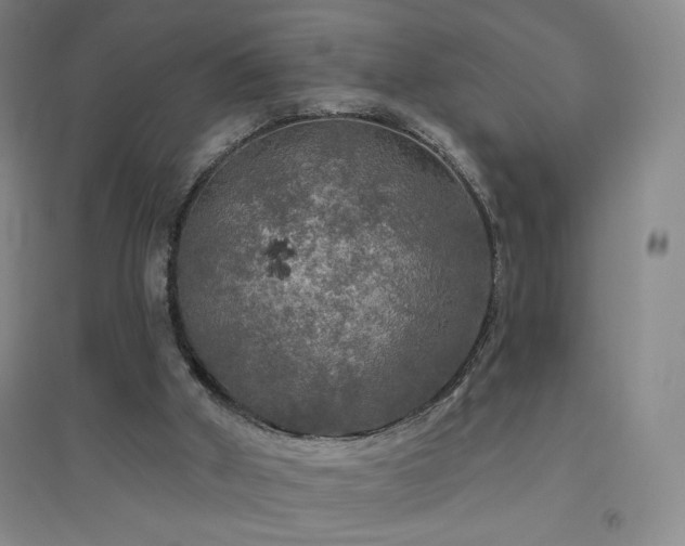 X0000094790010200711161445