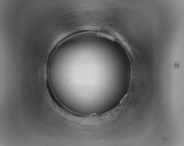 X0000094790011200711161445