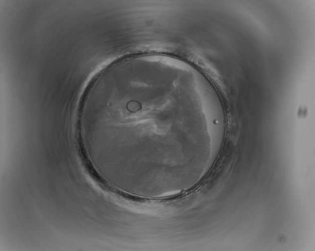 X0000094790012200711161445