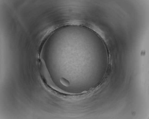 X0000094790013200711161445