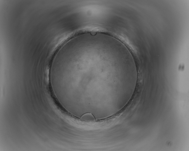 X0000094790014200711161445