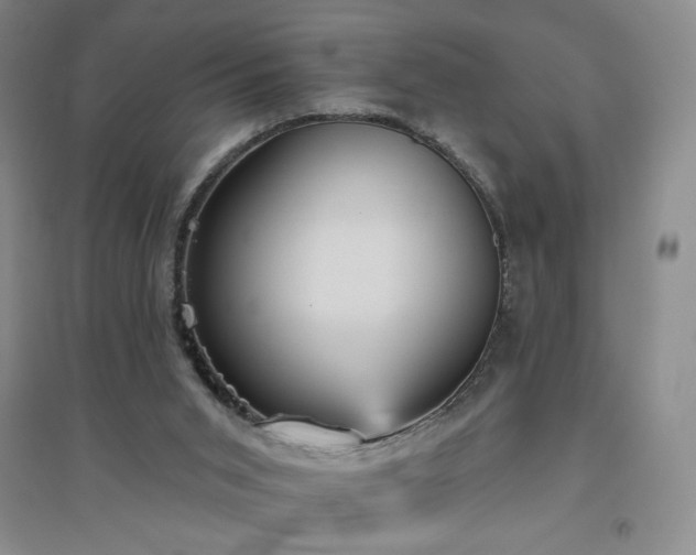 X0000094790015200711161445