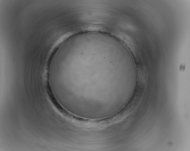 X0000094790016200711161445