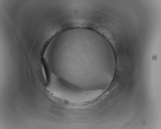 X0000094790017200711161445