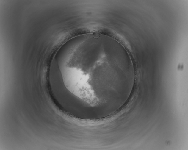 X0000094790018200711161445