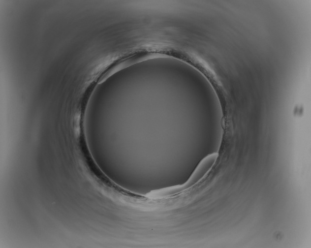 X0000094790019200711161445