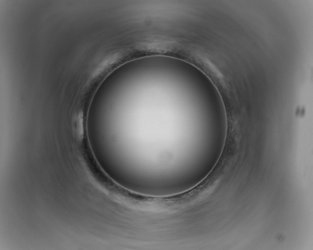 X0000094790020200711161445