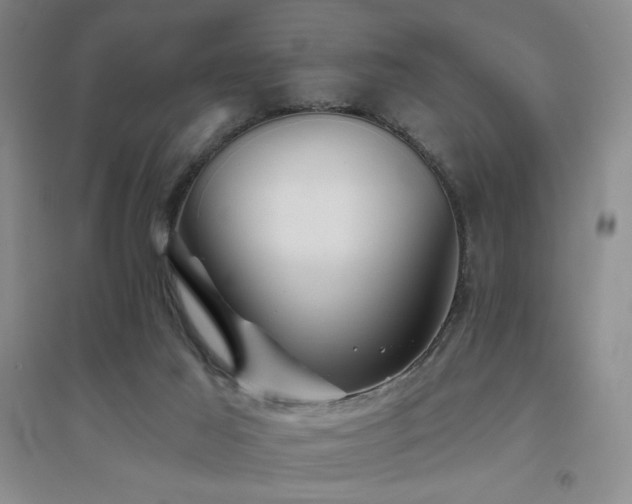 X0000094790021200711161445