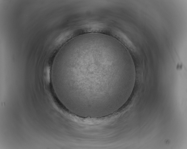 X0000094790022200711161445