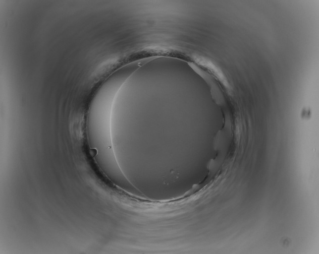 X0000094790023200711161445