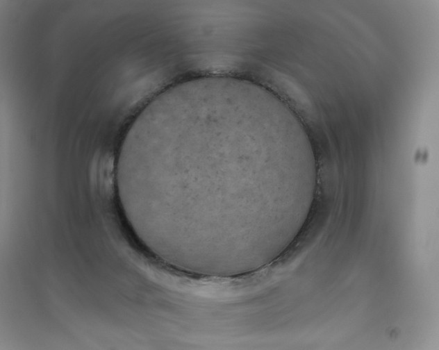 X0000094790024200711161445