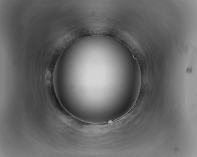 X0000094790025200711161445