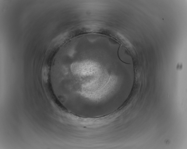 X0000094790026200711161445